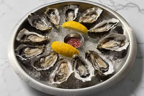 Oysters